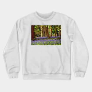 Bluebell Woods Basildon Park Reading Crewneck Sweatshirt